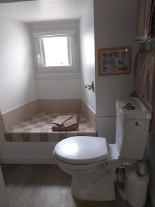 Vannituba majutusasutuses MANOIR ST YVES -Gîte