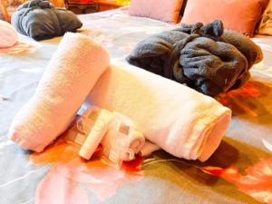 Voodi või voodid majutusasutuse B&B Forêt d'Animaux toas