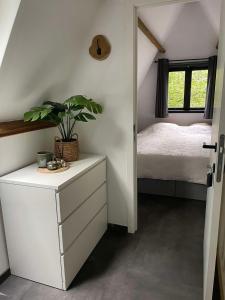 a bedroom with a bed and a plant on a dresser at Chalet 23 in Durbuy