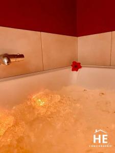 Fotografie z fotogalerie ubytování Hibiscus - Balnéo - Netflix & Chill v destinaci Montargis
