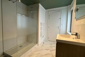 a bathroom with a shower and a sink at Grande Maison 17 personnes in Arras +66 photos