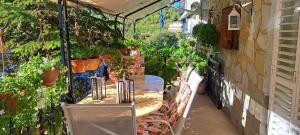 Zahrada ubytování Kyperounta Troodos mountain house