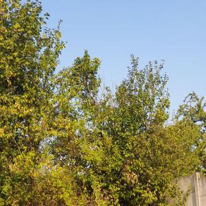 Φωτογραφία από το άλμπουμ του Apartmán Stará Myjava σε U Križkov