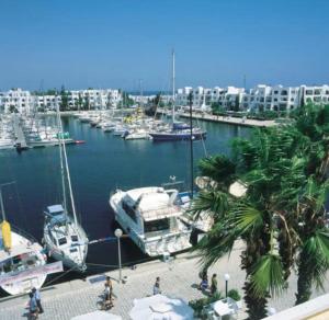 a marina with boats in a harbor with palm trees at DIAR Soufa in Chott Meriem