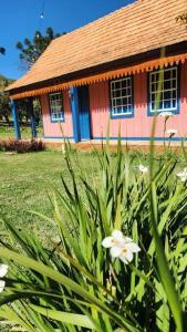 a pink and blue house with a flower in front of it at Casa Lisova in Prudentópolis +7 photos