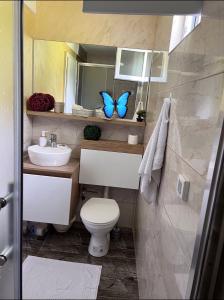 SlavinovićiにあるRest Houseのトイレと鏡に蝶が飾られたバスルーム