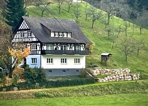 Příroda nedaleko apartmánu