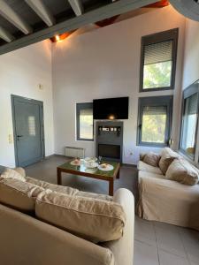 un salon avec un canapé et une table dans l'établissement Pejić Guest House, à Paliouri