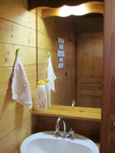 uma casa de banho com um lavatório e uma banheira em La roulotte d'Alcas em Saint-Jean-et-Saint-Paul