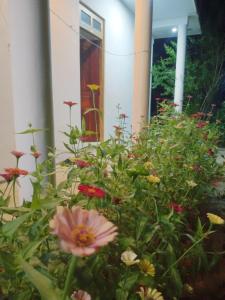 Giardino di ALEXANDRA HOME for foreign tourists only