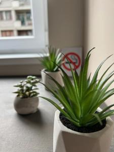 Зображення з фотогалереї помешкання Hello One Apartman у місті Шабац