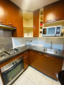 a kitchen with a sink and a microwave at Alojamiento santa lucia in Santiago