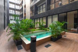 Hồ bơi trong/gần Musa del Carmen By Boutique Apartments MX