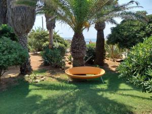 Zahrada ubytování Villa delle palme