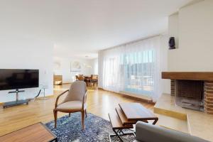 苏黎世Fantastic Penthouse near Lake - Mainau 14的带沙发、电视和壁炉的客厅