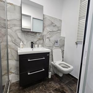 a bathroom with a sink and a toilet at Garsoniera Delia in Braşov