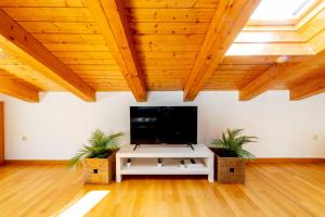 a living room with a flat screen tv on a wooden ceiling at RENOVADO - Ático Plaza Herradores, céntrico y con Wifi in Soria +35 photos