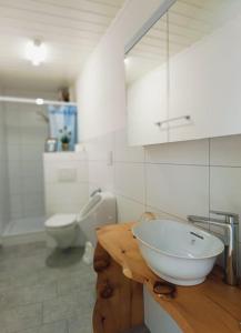a bathroom with a sink and a toilet at Casa Jenini - Wohnung im Patrizierhaus neben Schloss Leuk in Leuk +24 photos