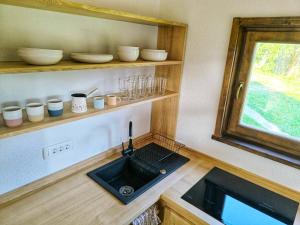 a kitchen with a sink in a tiny house at Tiny house in Žiri