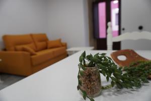 una pianta in un vaso su un tavolo in un soggiorno di APARTAMENTO Sanin 2 a Lumbrales
