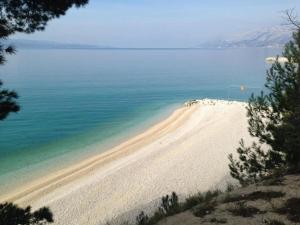 Příroda nedaleko prázdninového domu + 4 fotografie