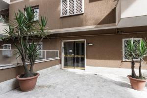 due palme in vasi di fronte a un edificio di Aurelia 386 Vatican House a Roma
