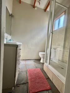 a bathroom with a shower and a sink and a toilet at DEPARTAMENTOS CLIMENT in Osorno +91 photos