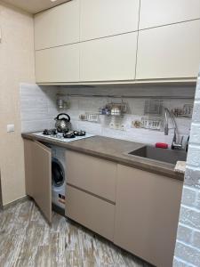 a kitchen with a sink and a washing machine at Апартаменти Dvoryanskay in Odesa