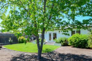 un arbre dans une cour devant une maison dans l'établissement Cottage Sonoma Historic Plaza, - Includes Wine Tasting Passport, à Sonoma