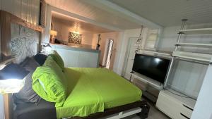 a bedroom with a bed and a flat screen tv at Villa Mayana Studios ou chambre Business in Dzaoudzi