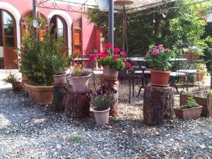 Zahrada ubytování B&B Il Moscondoro