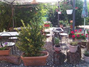 Zahrada ubytování B&B Il Moscondoro