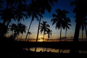 a sunset with palm trees and a body of water at karabe-bae Private Bungalows Remo in Praia dos Algodões +4 photos