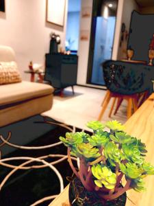 a potted plant sitting on a table in a living room at Luxury Paiva Flat in Recife