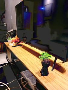 a desk with a computer monitor and a potted plant on it at Luxury Paiva Flat in Recife