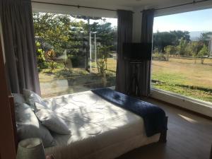 una camera da letto con un letto e una grande finestra di Apricot Hotel a Quito