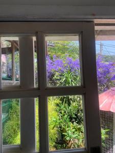 Fotografie z fotogalerie ubytování Pousada Villa Provence v destinaci Petrópolis