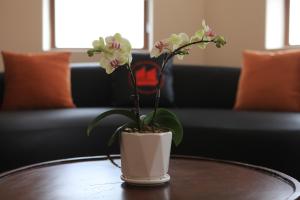 成都传家合院（花舞人间店）休息區