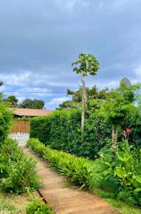 Un camino con un árbol en medio de un jardín. en Casa do Anjo, en Fernando de Noronha