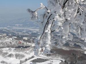 Yamadasan Ski Lodge - Madarao v zimě