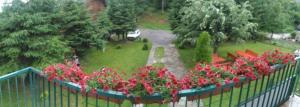 Zahrada ubytování Apartments Radović