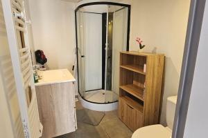 łazienka z prysznicem i toaletą w obiekcie STUDIO DANS LA BRENNE ! w mieście Thenay