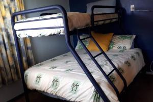 a bunk bed in a room with a bedsheet at G & G's Birds Eye View in Raglan