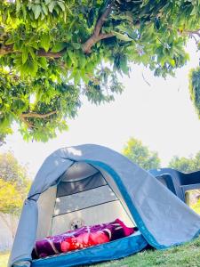 Фотография из галереи Lazy staytion в Пушкаре
