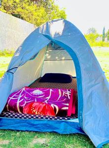 Фотография из галереи Lazy staytion в Пушкаре