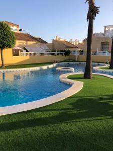 a swimming pool with a palm tree next to a building at Casa Jardín SevillaMia in Orihuela Costa in Orihuela Costa