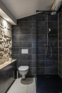 a bathroom with a toilet and a shower at Charmante maison en Arles : La Roquette in Arles +16 photos