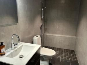 un bagno con lavandino, wc e doccia di Magasinet Stora Långbro a Tystberga