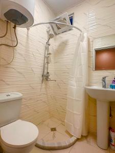 メスティアにあるCouple s Apartmentのトイレと洗面台付きのバスルーム