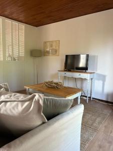 LagorceにあるMaison Les Pinsのソファとテーブル、テレビのあるリビングルーム